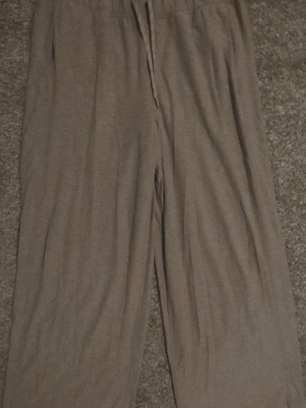 Womans FLX wide leg pants size XL Tan